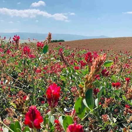 Vacanze Sulle Colline Toscane Ad Un Passo Dal Mare Apartment